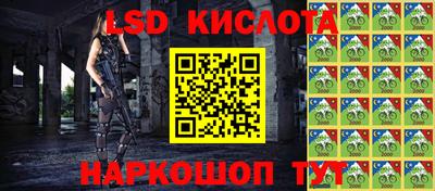 сатива Кандалакша