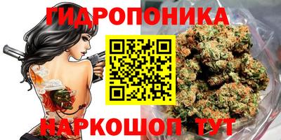 мдма Камышлов