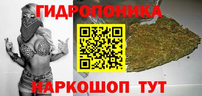 сатива Кандалакша