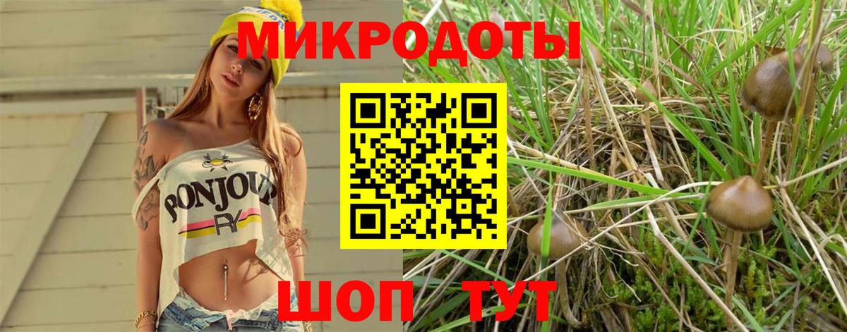 Галлюциногенные грибы Magic Shrooms  Галлюциногенные грибы Cubensis  как найти закладки  Краснокаменск  Вход с VPN 