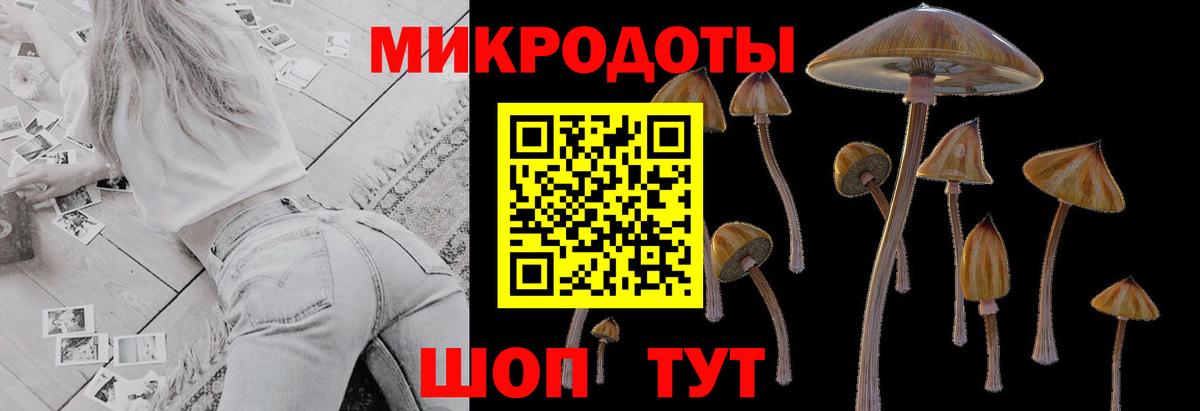 Галлюциногенные грибы мухоморы Краснокаменск